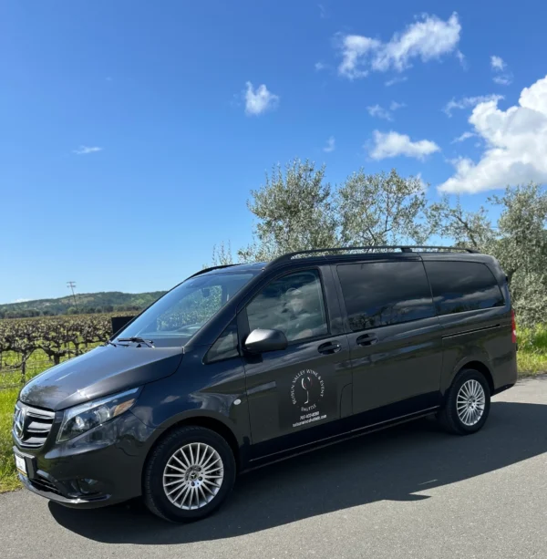 A van parked on the side of a road.